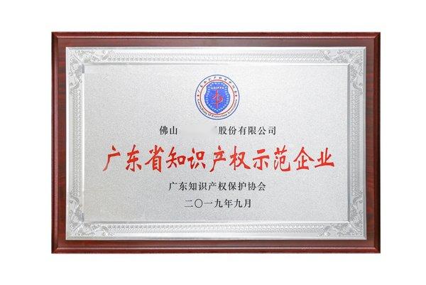 广东省知识产权示范企业